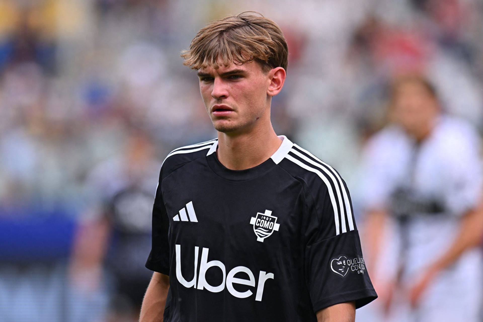 利用自己极 利用自己极