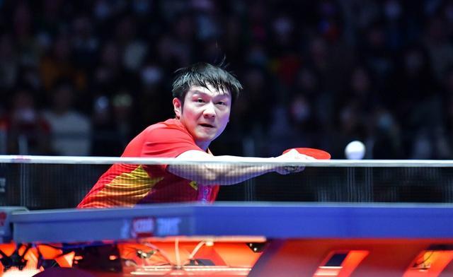 动体育与公 动体育与公