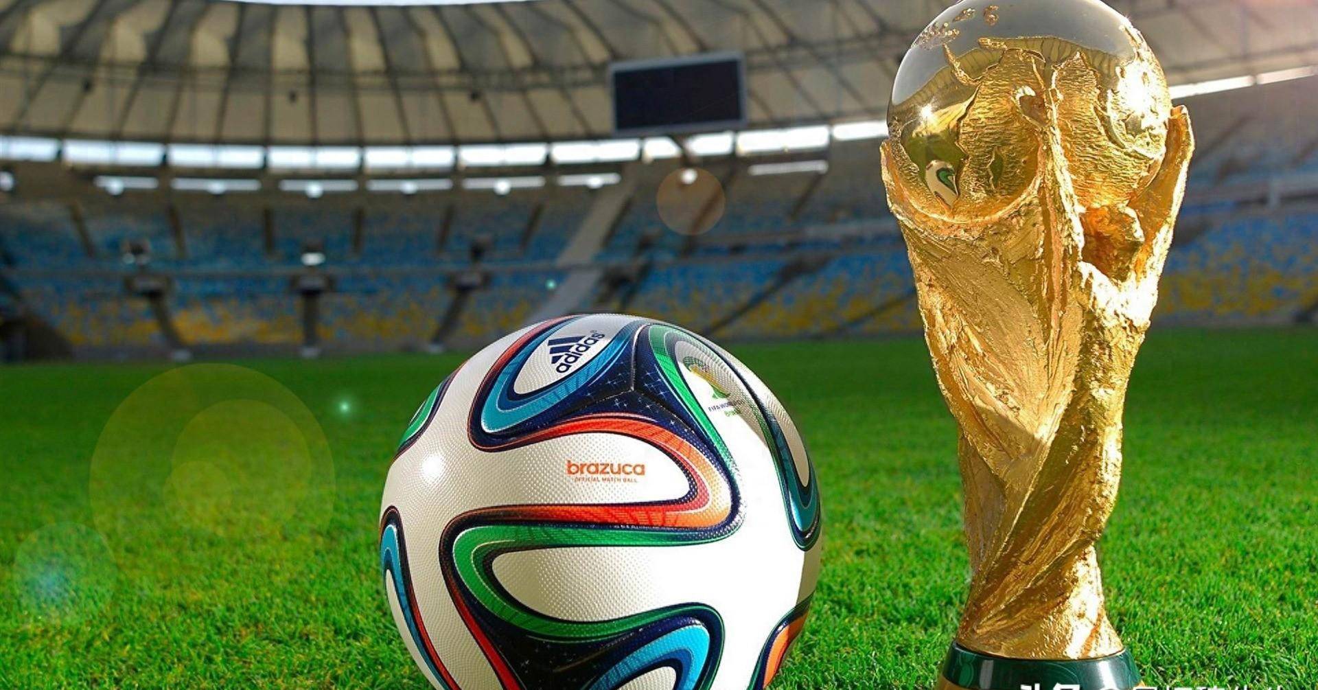 点转回到球 点转回到球