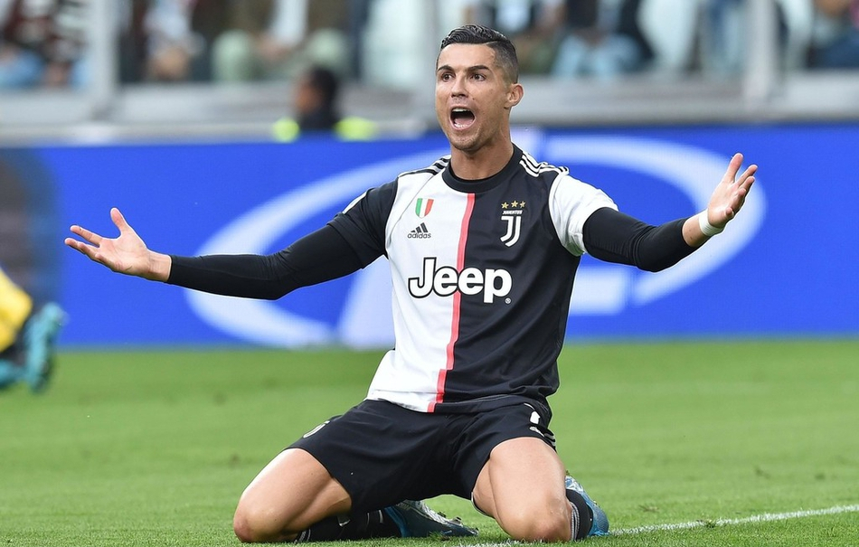 只受伤的野 只受伤的野